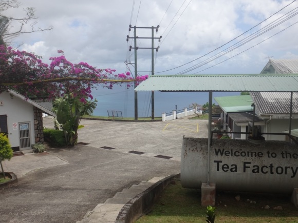 Seychelles Tea Factory SeyTe
