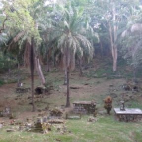 The palm trees make it look like a wonderful park